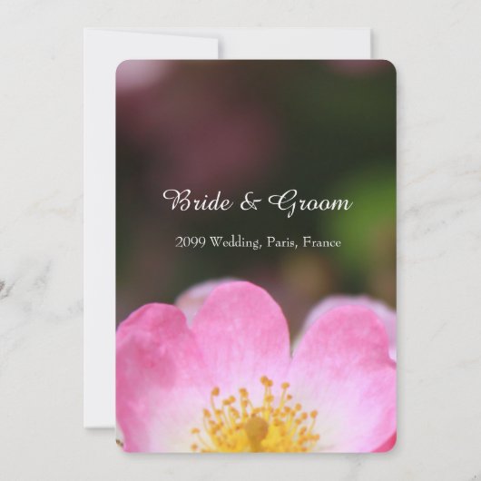 Hübsche wildrosa Rosa Blume Einladungen für Hochze (Rückseite)