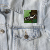 Hübsche Zebra-Langflügel-Schmetterlingschaltfläche Button (Beispiel)