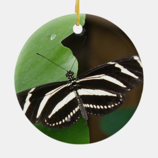 Hübsche Zebra Langwing Butterfly Ornament (Hinten)