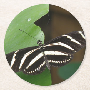 Hübsche Zebra Longwing Butterfly Paper Untersetzer