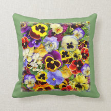 Hübschen Stiefmütterchen