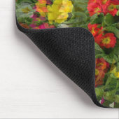 Hübscher Abend Primroses.... Mousepad (Ecke)