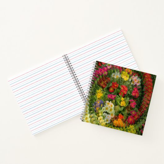 Hübscher Abend Primroses.... Notizblock (Innenseite)