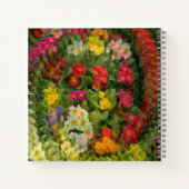 Hübscher Abend Primroses.... Notizblock (Rückseite)