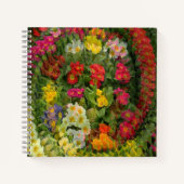 Hübscher Abend Primroses.... Notizblock (Vorderseite)