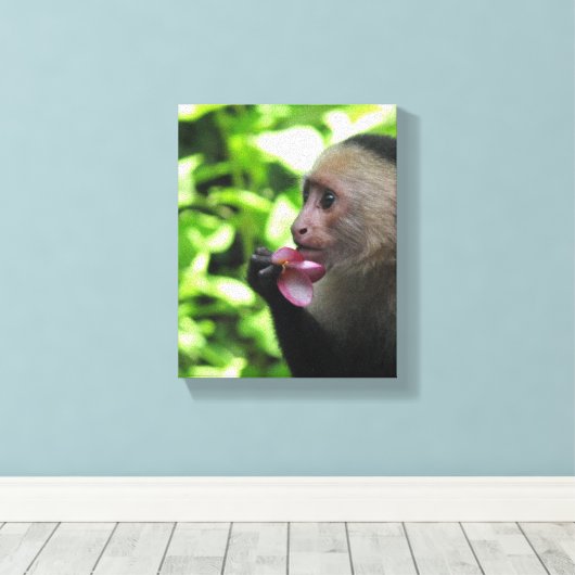 Hübscher Affe Leinwanddruck (Insitu (Holzboden))