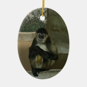 Hübscher Affe sitzt hübsch Keramikornament