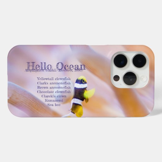 hübscher Anemonefisch Case-Mate iPhone Hülle (Rückseite (Horizontal))