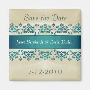 Hübscher aquamariner Magnet des Damastes Save the