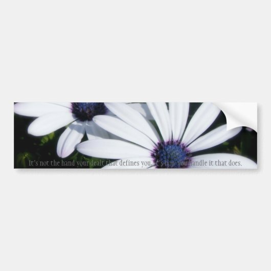 Hübscher Autoaufkleber der Blumenblatt-5 (Vorne)