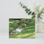 Hübscher Bach Postkarte (Stehend Vorderseite)