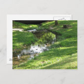 Hübscher Bach Postkarte (Vorne/Hinten)