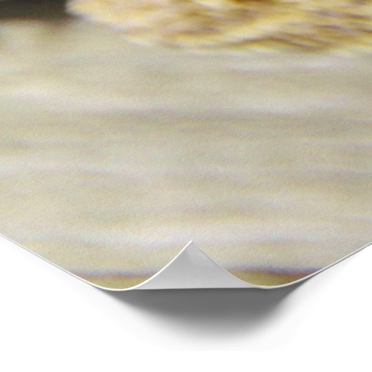 Hübscher Bartdrache Poster (Ecke)