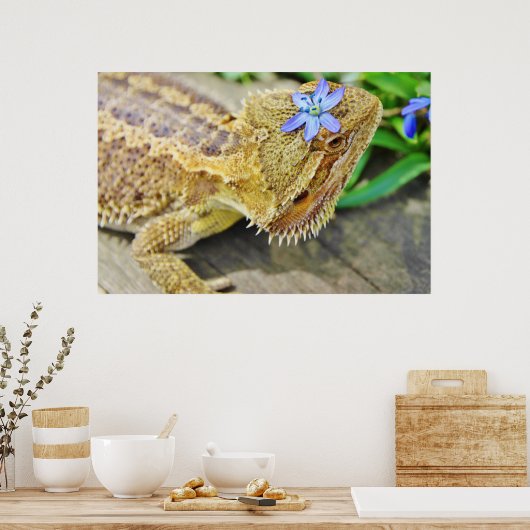 Hübscher Bartdrache Poster (Küche)