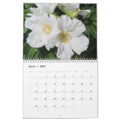 Hübscher Bild-Rosen-Kalender Kalender (Mär 2027)