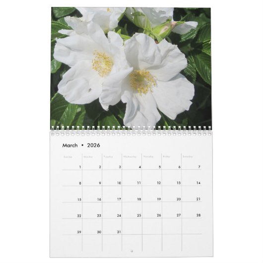 Hübscher Bild-Rosen-Kalender Kalender (Mär 2026)