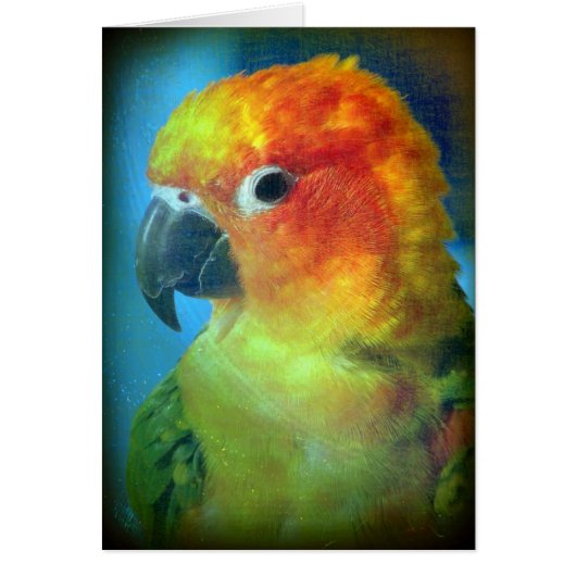 Hübscher Bird (Vorne)