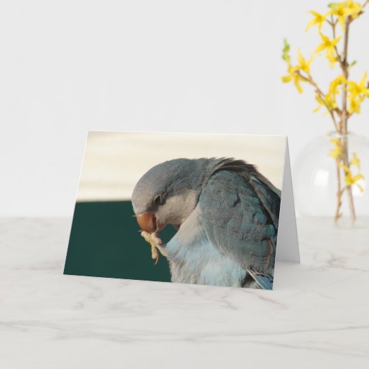 Hübscher Bird Karte (Gelbe Blume)