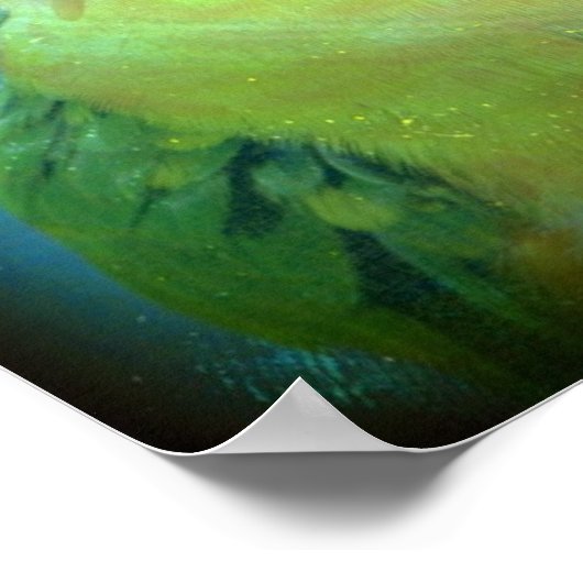 Hübscher Bird Poster (Ecke)