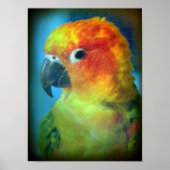 Hübscher Bird Poster (Vorne)