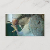 Hübscher Bird Visitenkarte (Rückseite)
