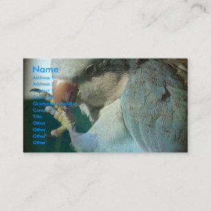 Hübscher Bird Visitenkarte