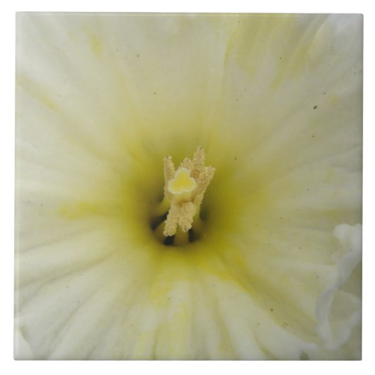 Hübscher, blass gefärbter Faden Fliese (Vorderseite)