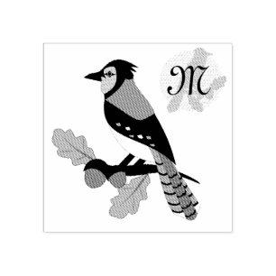 Hübscher Blauer Jay Gummistempel