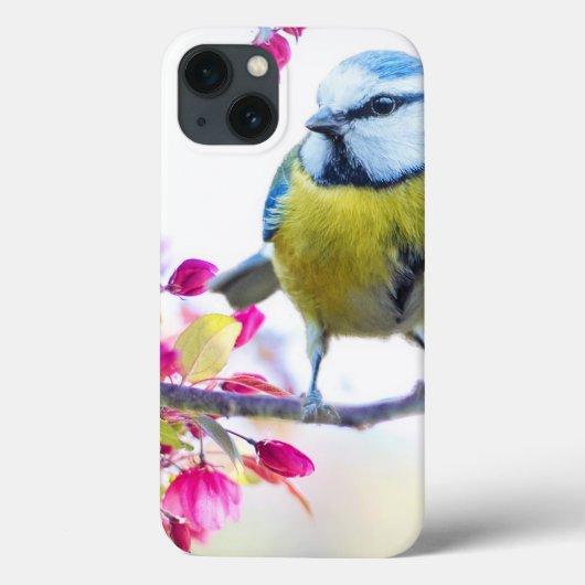 Hübscher Blauer und Gelber Bird auf einem Zweigbil Case-Mate iPhone Hülle (Rückseite)