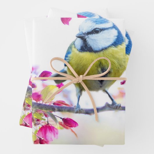 Hübscher Blauer und Gelber Bird auf einem Zweigbil Geschenkpapier Set (Beispiel)