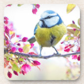 Hübscher Blauer und Gelber Bird auf einem Zweigbil Getränkeuntersetzer (Vorderseite)