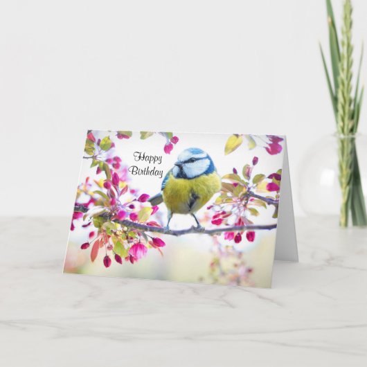 Hübscher Blauer und Gelber Bird auf einem Zweigbil Karte (Vorderseite)