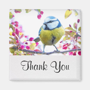 Hübscher Blauer und Gelber Bird auf einem Zweigbil Magnet