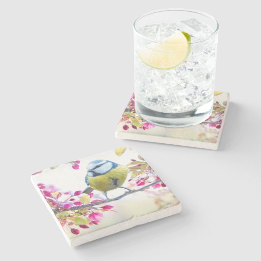 Hübscher Blauer und Gelber Bird auf einem Zweigbil Steinuntersetzer (Seitenansicht)