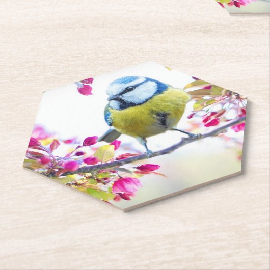 Hübscher Blauer und Gelber Bird auf einem Zweigbil Untersetzer (angewinkelt)