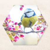 Hübscher Blauer und Gelber Bird auf einem Zweigbil Untersetzer (Vorderseite)