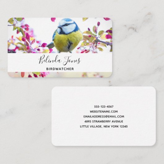 Hübscher Blauer und Gelber Bird auf einem Zweigbil Visitenkarte (Vorne/Hinten)