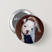 Hübscher Bulldogge Pinback Knopf Button (Vorne & Hinten)