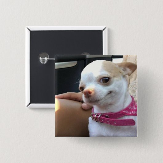 Hübscher Chihuahua Dog Meme Button Button (Vorne & Hinten)