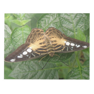 Hübscher Clipper-Butterfly-Editor Notizblock