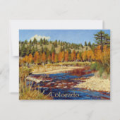 Hübscher Colorado-Bergstrom (Vorderseite)