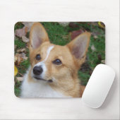 Hübscher Corgi Mousepad (Mit Mouse)