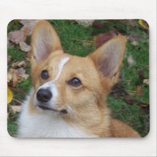Hübscher Corgi Mousepad