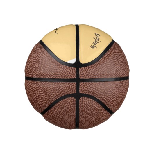 Hübscher Eidechsengesang mit Mikrofon-Cartoon Mini Basketball (Rechts)