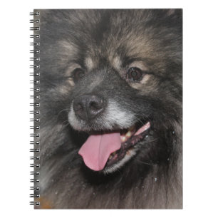 HÜBSCHER FLUFFIGER GRAUER KEESHOND-HUND NOTIZBLOCK