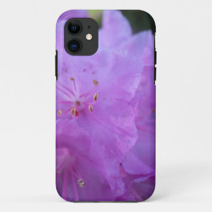 hübscher Frühling lila Azalea Blume. iPhone 11 Hülle