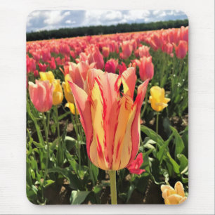 Hübscher Frühlingsstift, Oregon Mousepad