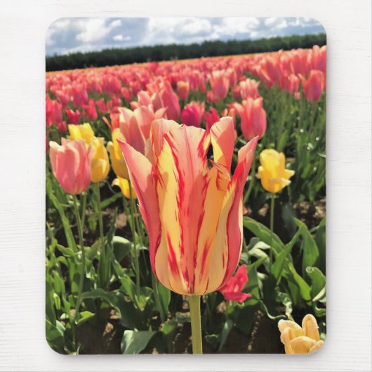Hübscher Frühlingsstift, Oregon Mousepad (Vorne)