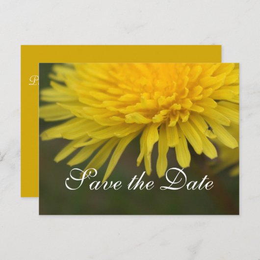 Hübscher, gelber, wilder Blume Save the Date Leuch Ankündigungspostkarte (Vorne/Hinten)