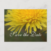 Hübscher, gelber, wilder Blume Save the Date Leuch Ankündigungspostkarte (Vorderseite)